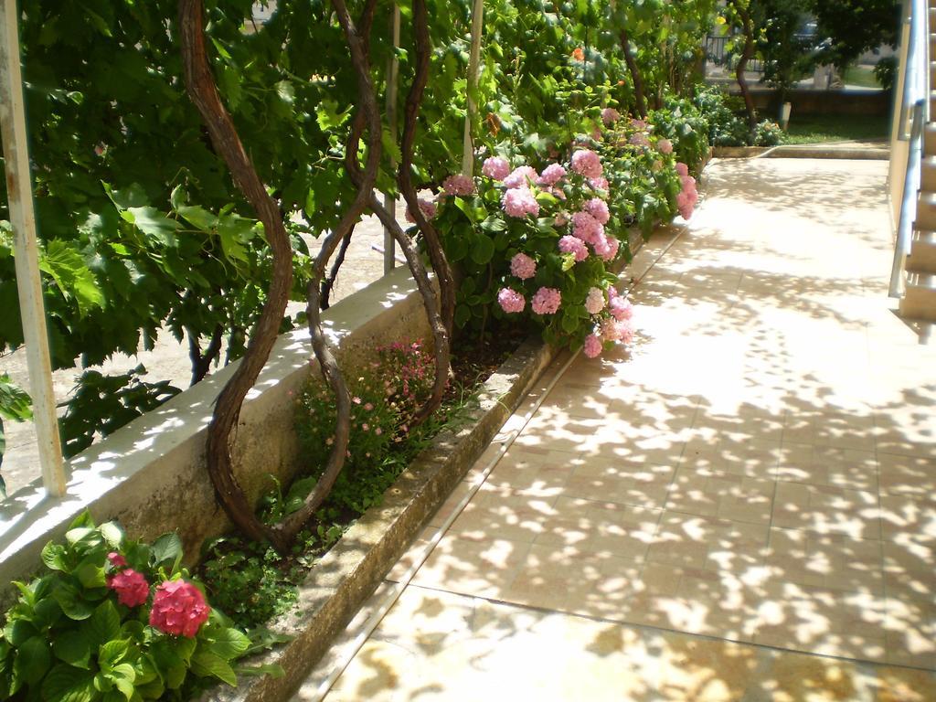 Family Studio with Patio,127973154:JPEG