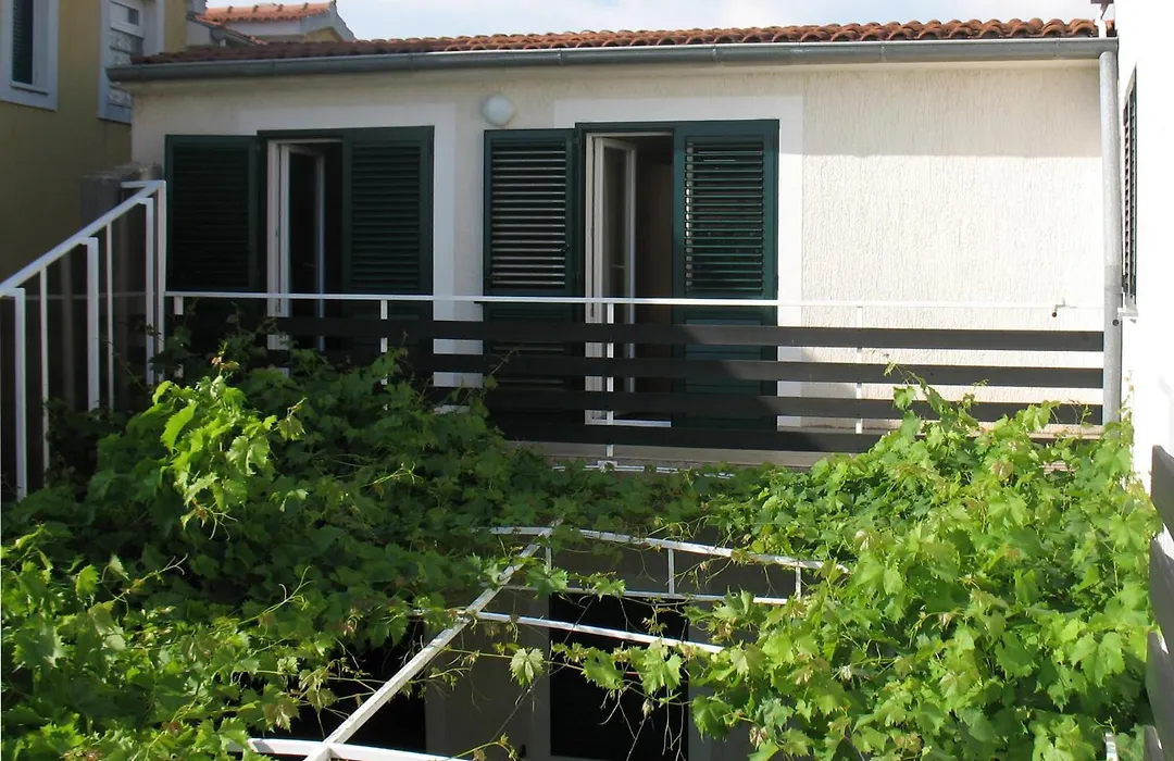 Apartment M-1