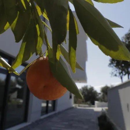 Ahil Sport&Health Premium Penthouse Sibenik-2