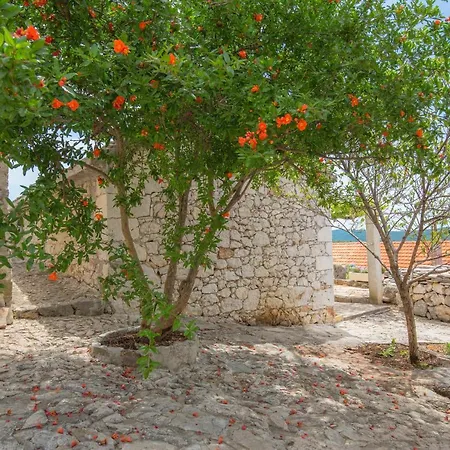 Dalmatian Stone House-3