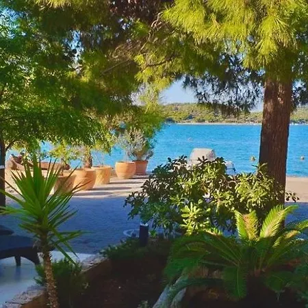 Holiday Home Toma-3