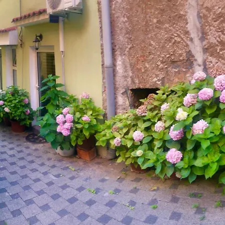 Kala De Flores With Balcony And Apartment-2