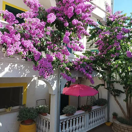 Apartments Vodice Marica-2