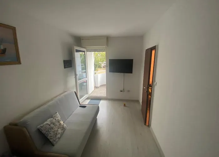 Apartment Divna Šibenik acceptant les animaux