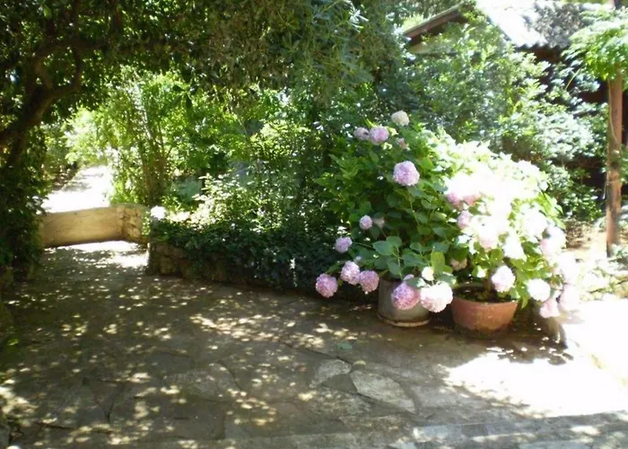 Huisdiervriedelijke Apartment Zenić Šibenik