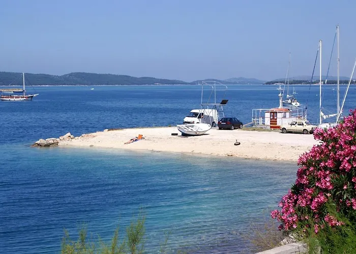 Apartment Brodarica 15270B Šibenik acceptant les animaux