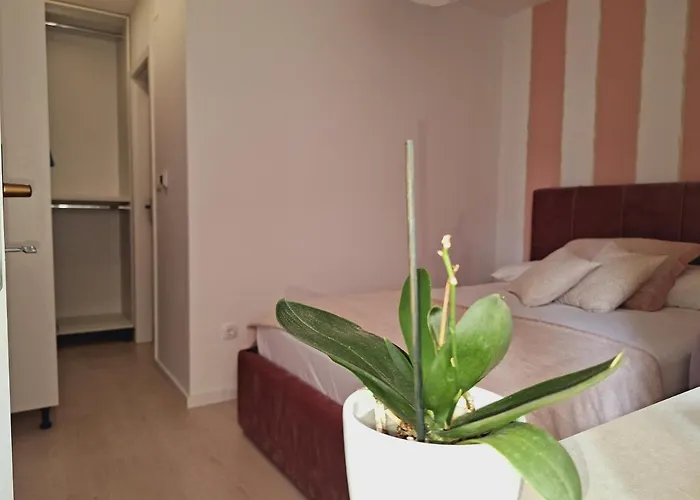 Haustierfreundliches Ferienwohnung Apartman Maja **** Šibenik