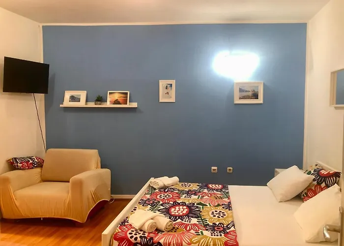 Pet friendly Ante Sun Apartment Sibenik