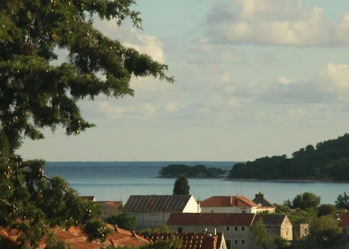 Apartments With Parking Space Brodarica, Sibenik - 12405 acceptant les animaux