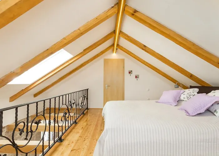 Pet friendly Apartments Vica Sibenik