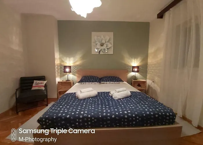 Good Vibes Apartment Šibenik acceptant les animaux