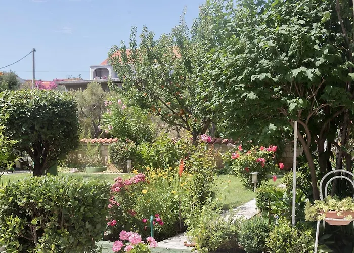 Apartments Zanze Vodice